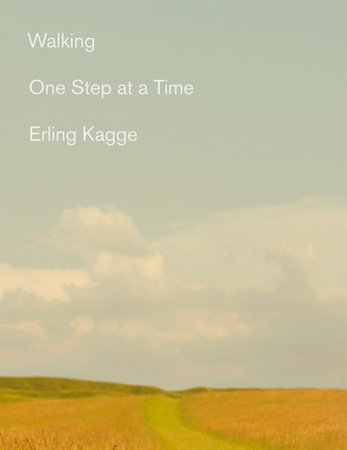 Walking One Step at a time book cover