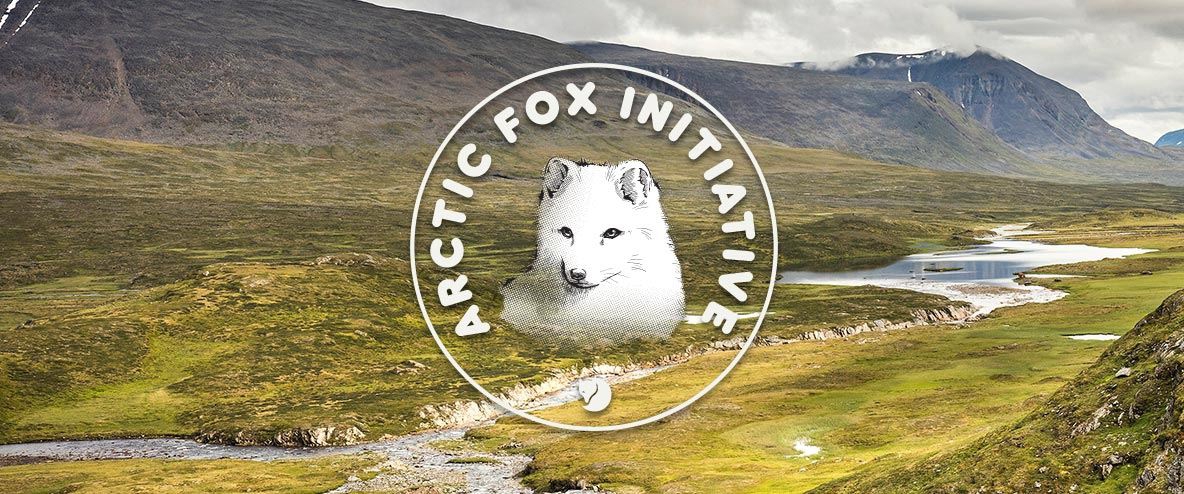 "Arctic Fox initiative" words encircling picture of Arctic Fox head with scene of Swedish mountain river valley in background.