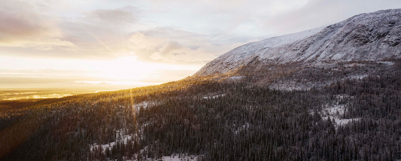 Sunrise over a snow dusted tree covered mountain. 